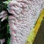 EPE Foam (3)